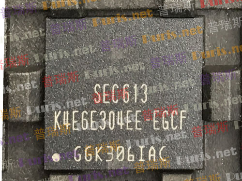 K4E6E304EE-EGCF