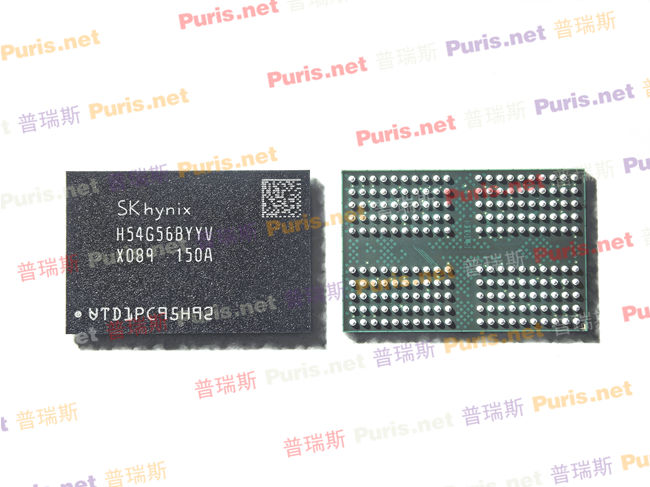 H54G56BYYVX089N